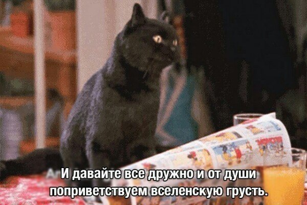    :   - 5