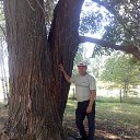 ���� �����, ������ ��������, 60 ��� - ��������� 18 ������� 2018 � ������ ���� ����������