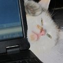 ���� �����, ������������ - ��������� 12 �������� 2018 � ������ ������ ��������� � �����������...�