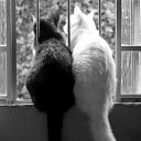  Ukko, - -  10  2018    ,  