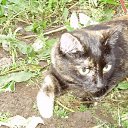 ���� ������, �����-��������, 60 ��� - ��������� 6 ������ 2018 � ������ ���� ����������