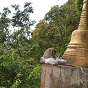 ���� �������, ���������, 46 ��� - ��������� 21 ������� 2018 � ������ ����������