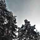 ���� ���������( �� �������), ��������� - ��������� 12 ������ 2019 � ������ �2019�