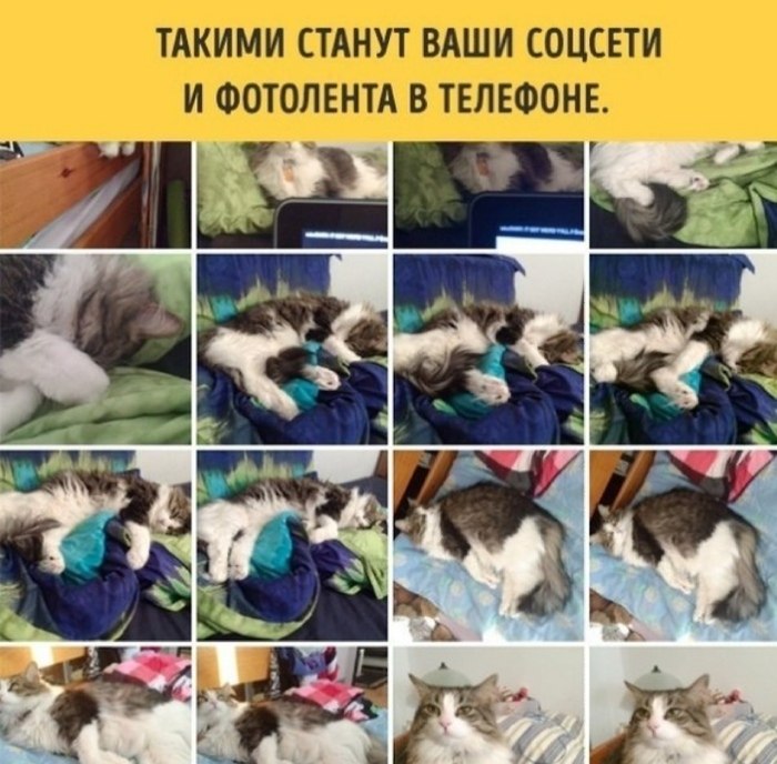   ,    -        - 4