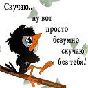 ���� �������, ������ - ��������� 18 ������� 2019 � ������ ������ ��������