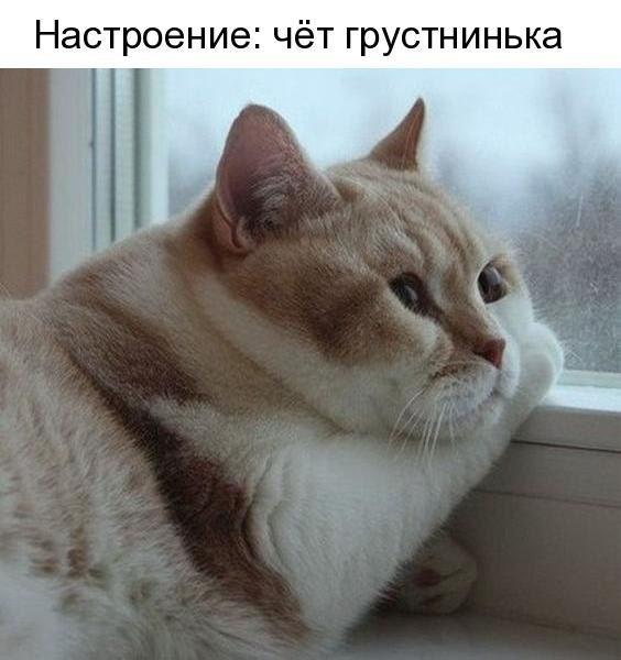   - 15  2018  16:43