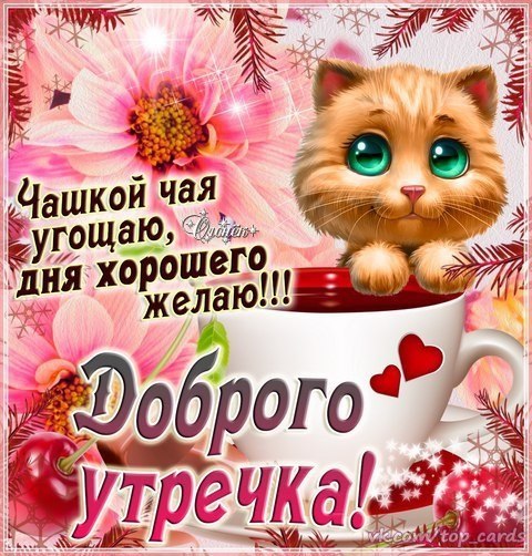  - 21  2018  08:04