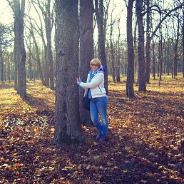 �����, �������