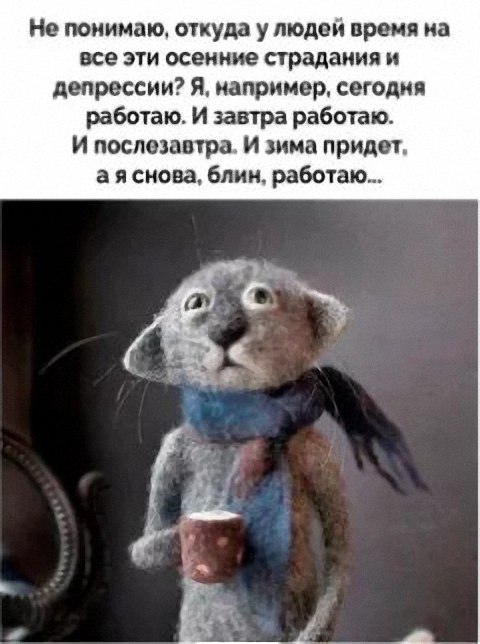   - 31  2019  12:40