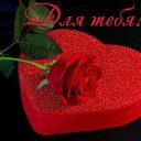 ���� ((R)), �����������, 48 ��� - ��������� 21 ������� 2019 � ������ ������ ��������