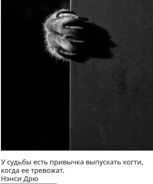  ,:) - 7  2019  09:33