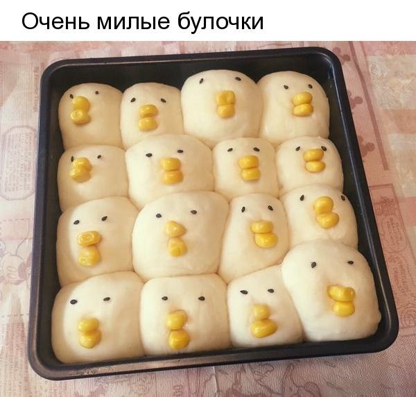   - 19  2019  16:46