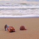 ���� �������, ������-��-����, 45 ��� - ��������� 3 ������ 2019 � ������ ���� ����������