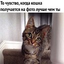 ���� �����, �����������, 57 ��� - ��������� 28 �������� 2018 � ������ ������ ��������