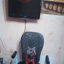 ���� ��������:maik 2134 ������"�������", �����-���������, 47 ��� - ��������� 24 �������� 2018 � ������ ���������� ������