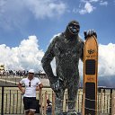���� �����, ������, 43 ���� - ��������� 4 ������ 2018 � ������ ���� ����������