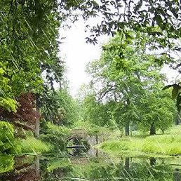 Vasiliy, �����, 64 ����