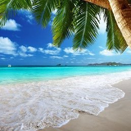 ���� �����, ����������, 60 ��� - ��������� 8 ����� 2019