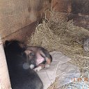 ��� �������. �� ������� ���� ����������