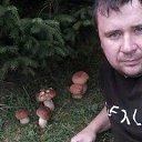 ���� ����, ����� - ��������� 21 ������ 2019 � ������ ����������