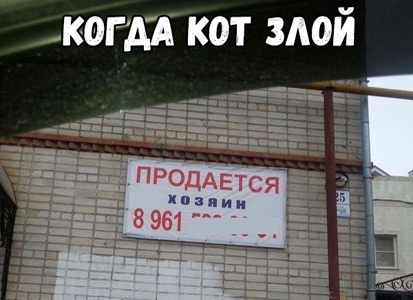    :D - 10  2018  16:48
