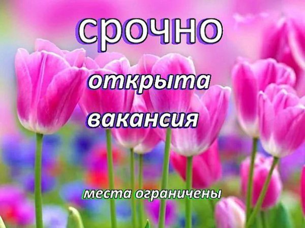 Требуются ДЕВУШКИ для подработки в интернете (НЕ КОСМЕТИКА). ОПЛАТА ТРУДА ЕЖЕДНЕВНАЯ сразу на Вашу ...
