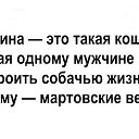  , -, 53  -  29  2019    