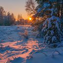 ���� ��������, ����-���, 40 ��� - ��������� 22 ������� 2018 � ������ ������ ��������