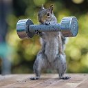 ���� �����, ������ - ��������� 30 ���� 2018 � ������ ���� ����������