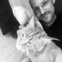 ���� �����, ������, 38 ��� - ��������� 13 ���� 2018