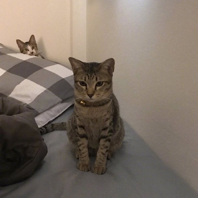     ,    ,    