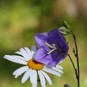 ���� ������, ����������� - ��������� 28 ������ 2018 � ������ ������ ��������