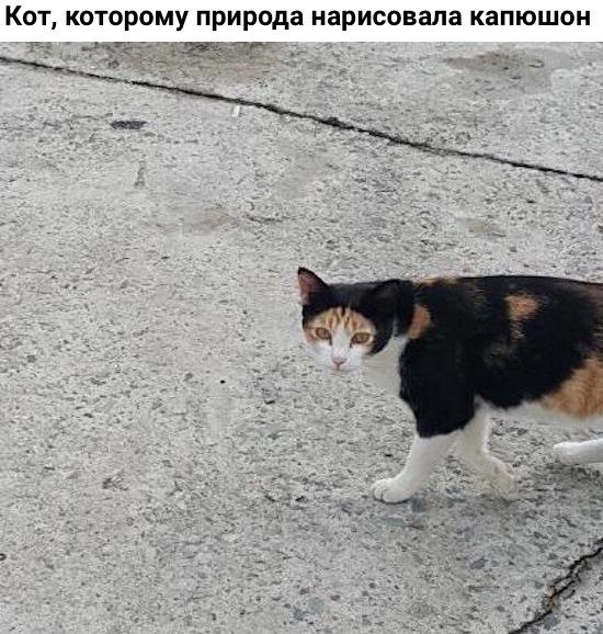    - 14  2019  16:53