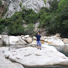 �����, ������, 35 ���