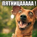 ���� Sebastian22, ���������, 55 ��� - ��������� 29 ����� 2019 � ������ ���� ����������