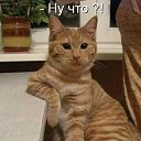 ���� ����, ������ ���, 41 ��� - ��������� 2 ������� 2019 � ������ ������ ��������