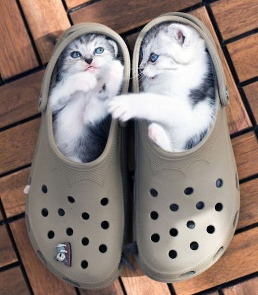 - А представь, будто это наши космические корабли! - Точно!