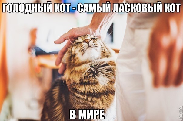    - 13  2018  17:08