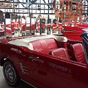  , , 50  -  17  2018   -