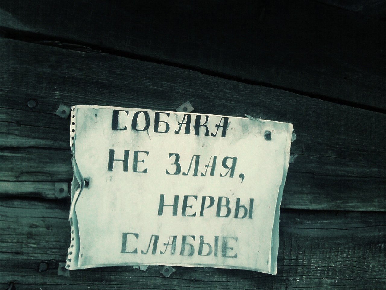  - 19  2019  03:46 - 2