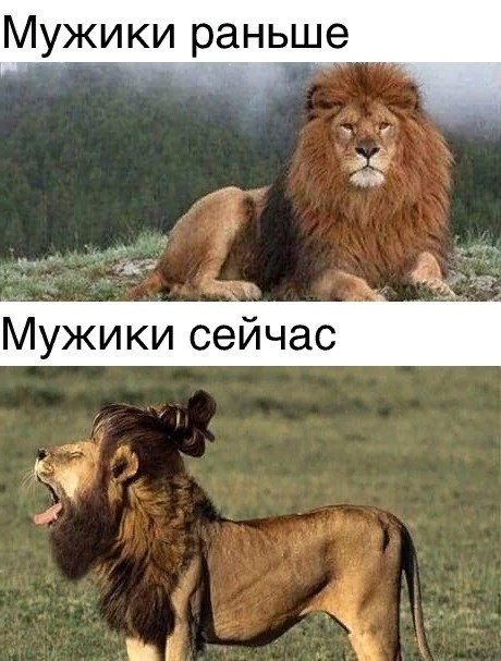  - 22  2018  19:04