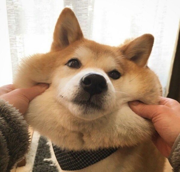  !