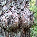  ••,  -  13  2018   - ))