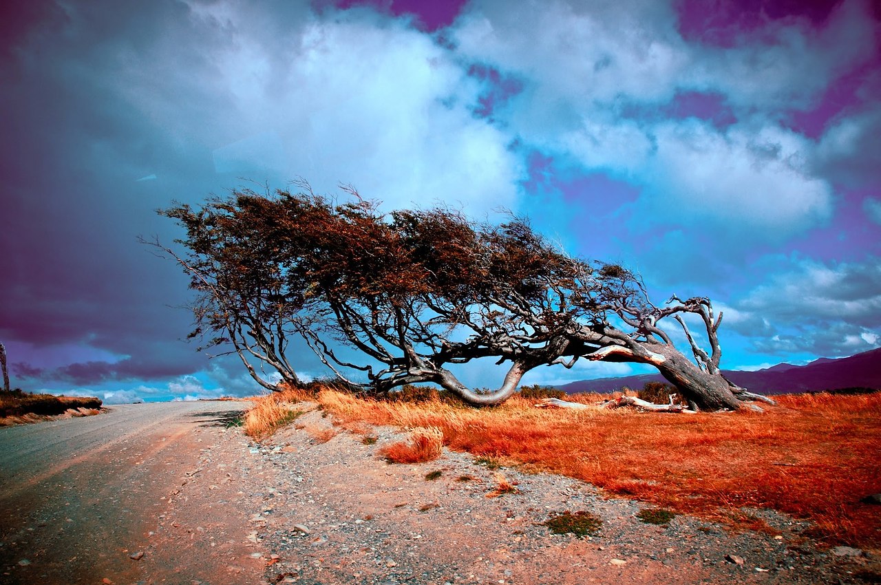 Tierra del Fuego National Park, 