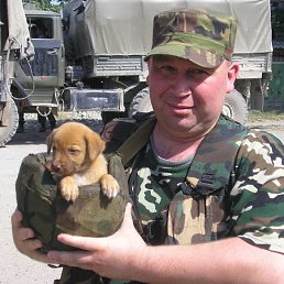 ��������, �������, 54 ����