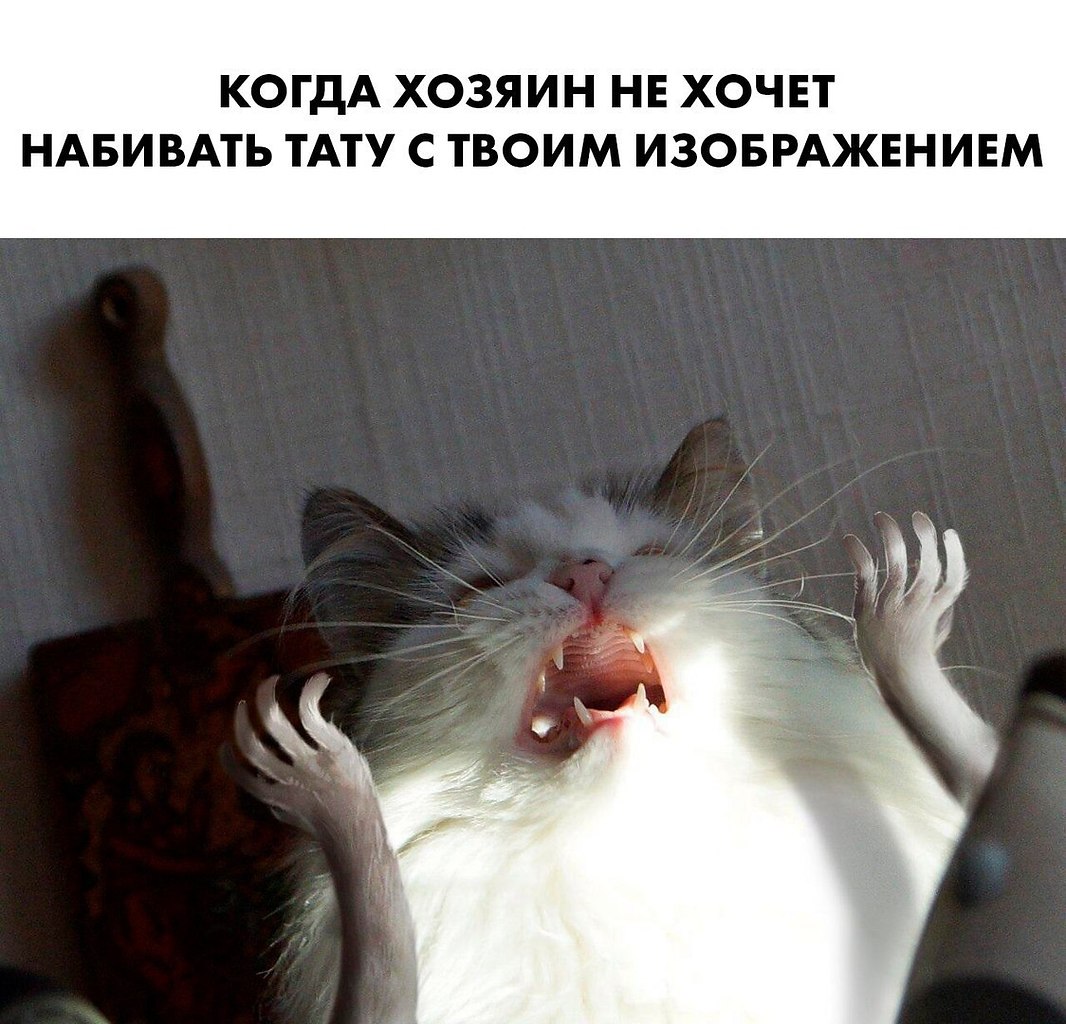 ,    - 27  2018  16:24