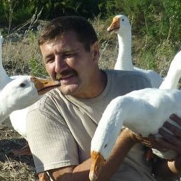 �����, ������������, 60 ���