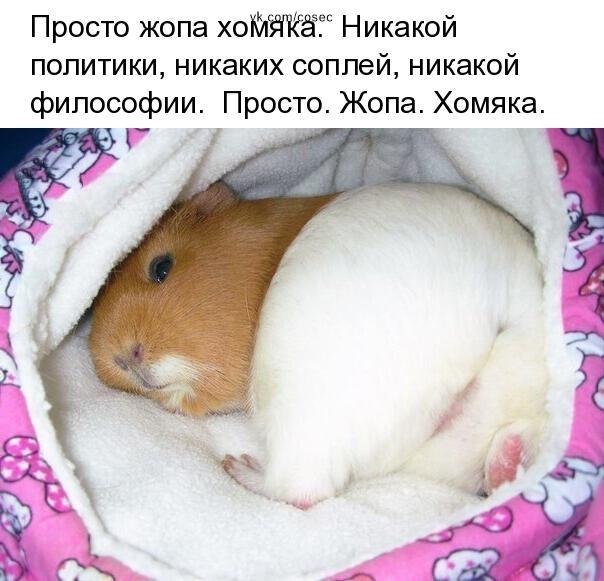   - 9  2019  16:35