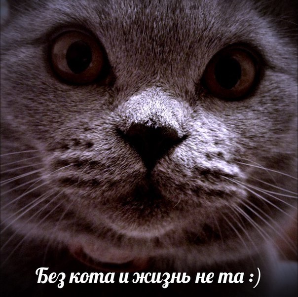    - 24  2018  16:35