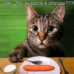 ���� Nikolay, �������, 50 ��� - ��������� 21 ������� 2018